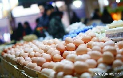 高价蛋与低价蛋的核心营养成分差别不大